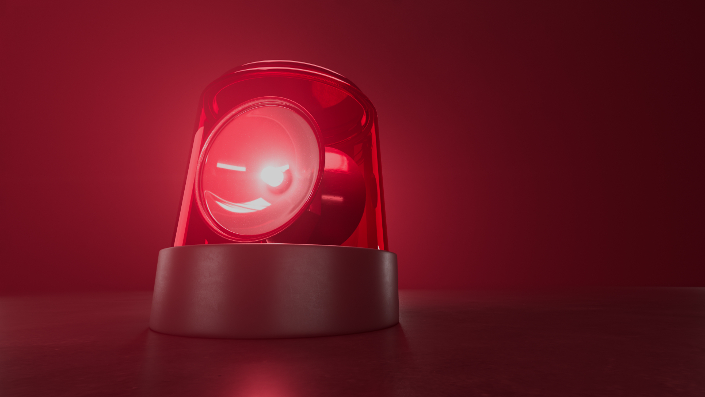 Disadvantages Of Alarm Security Systems